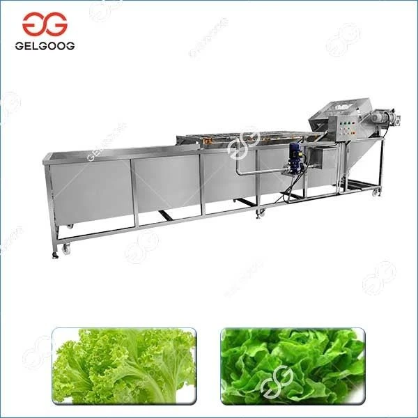 Lettuce Washing Machine