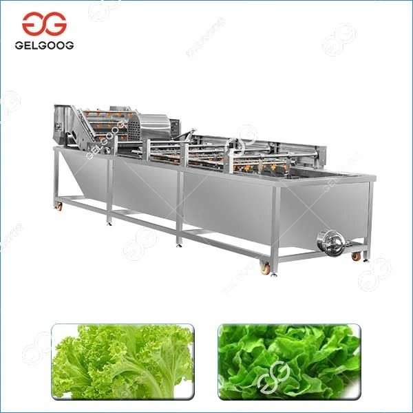 Lettuce Washing Machine